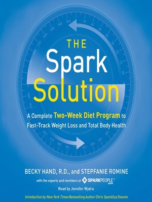 The Spark Solution - Audiobook